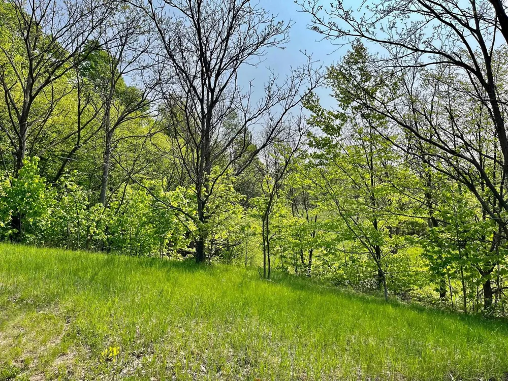 Spyglass Hill Court Custer Township, MI 49615