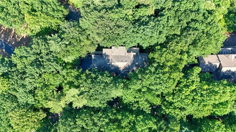 309 Summit Drive Big Canoe, GA 30143