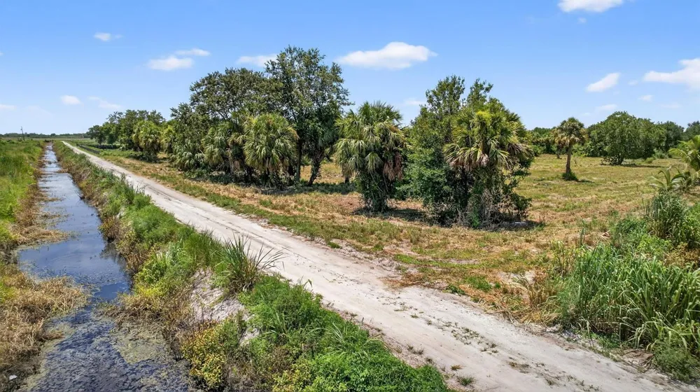 Xx Bedu Court Loxahatchee, FL 33470