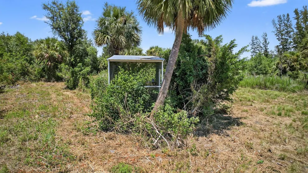 Xx Bedu Court Loxahatchee, FL 33470