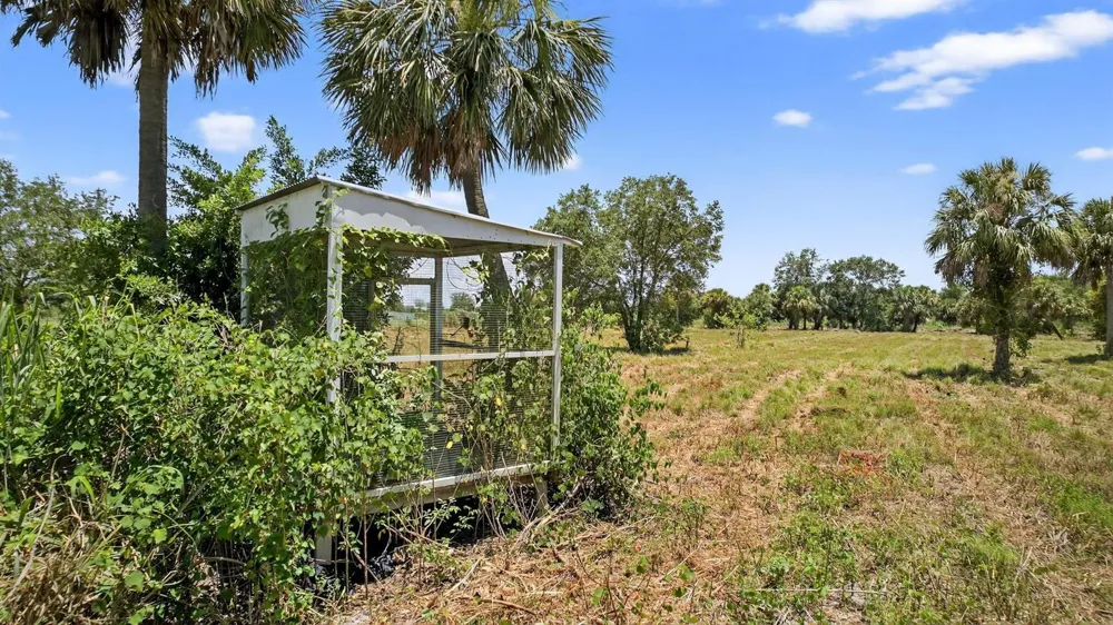 Xx Bedu Court Loxahatchee, FL 33470