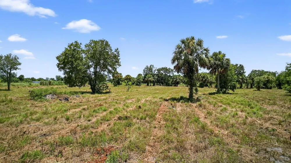 Xx Bedu Court Loxahatchee, FL 33470