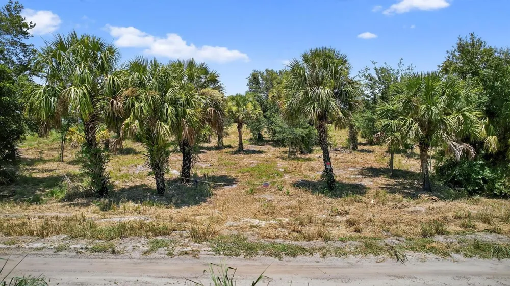 Xx Bedu Court Loxahatchee, FL 33470