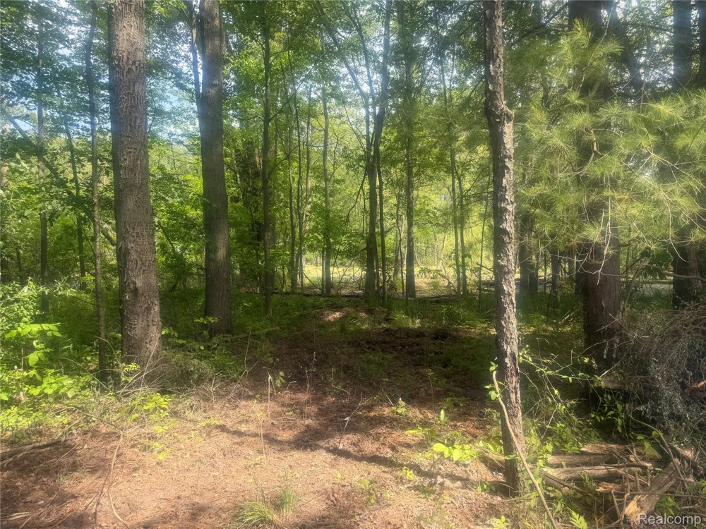 5716 Falkenbury Road Deerfield Township, MI 48461