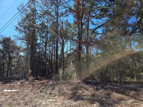 8 Marion Oaks Lane