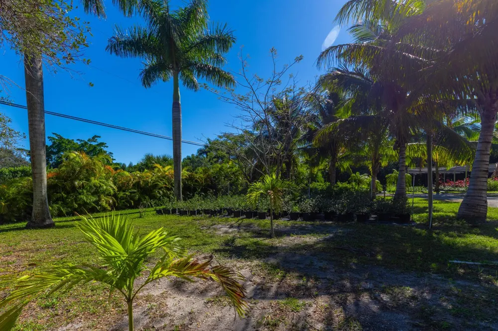 2943 B ROAD 