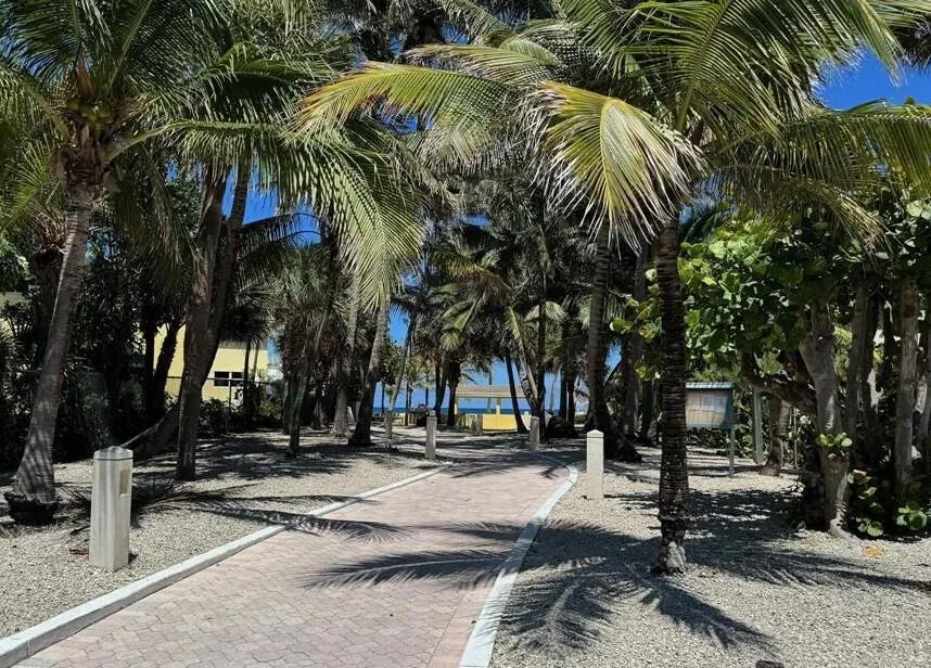 2020 Terra Mar Drive #205 Pompano Beach, FL 33062