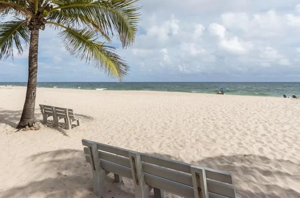 2020 Terra Mar Drive #205 Pompano Beach, FL 33062
