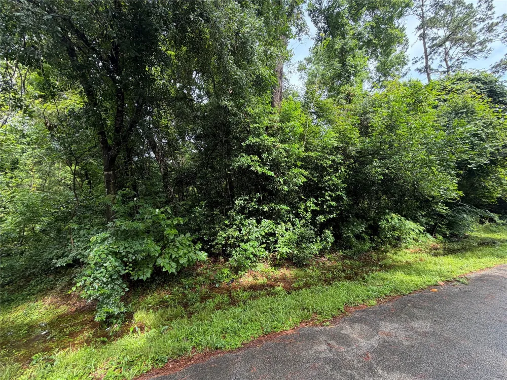 20 Idlewild Road New Caney, TX 77357