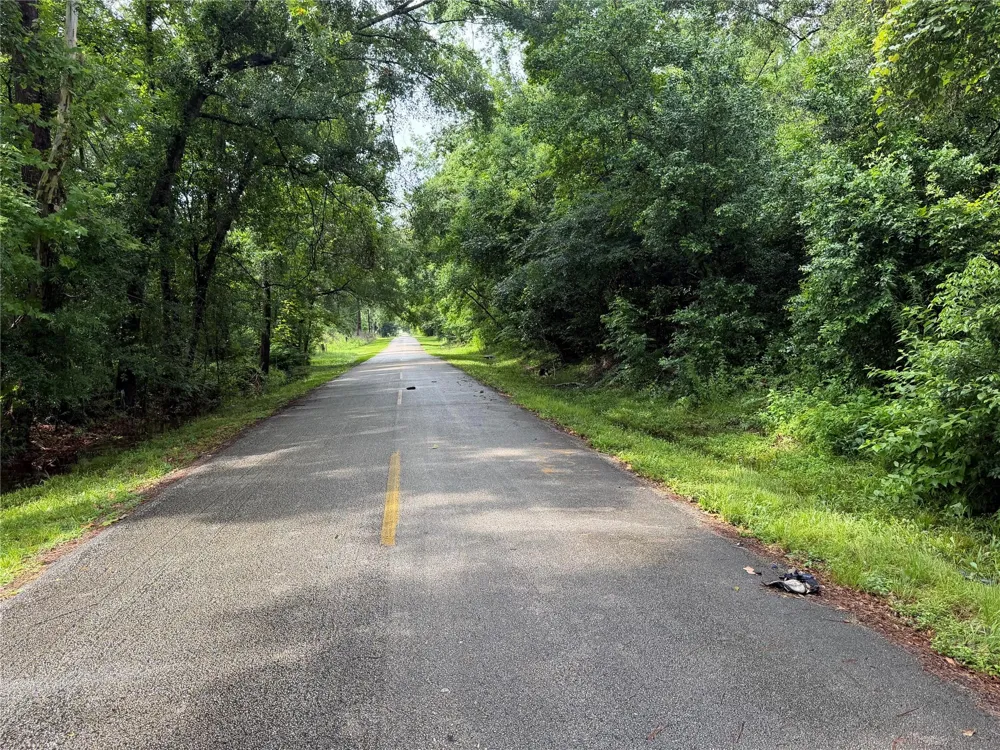 20 Idlewild Road New Caney, TX 77357
