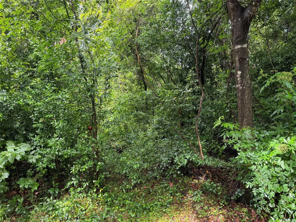 20 Idlewild Road New Caney, TX 77357