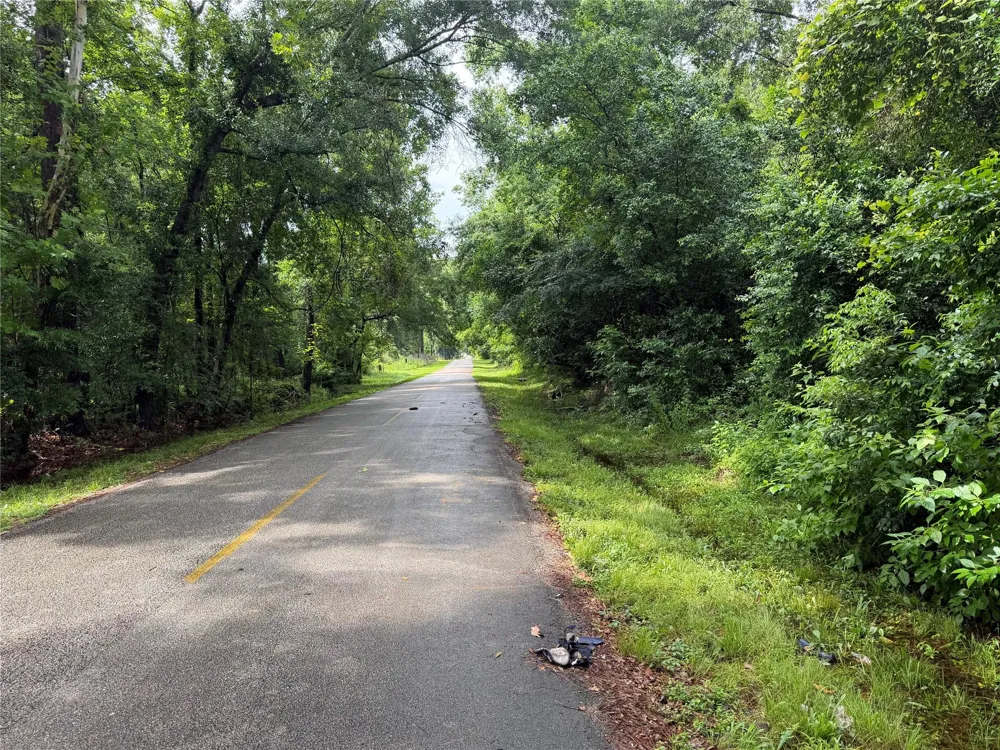 20 Idlewild Road New Caney, TX 77357