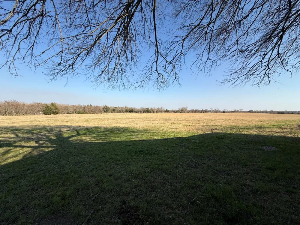 5 County Road 445 Fairfield, TX 75840