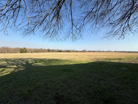 5 County Road 445