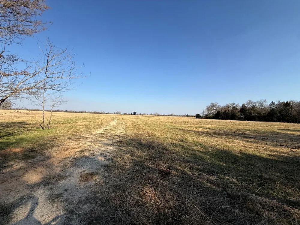 5 County Road 445 Fairfield, TX 75840