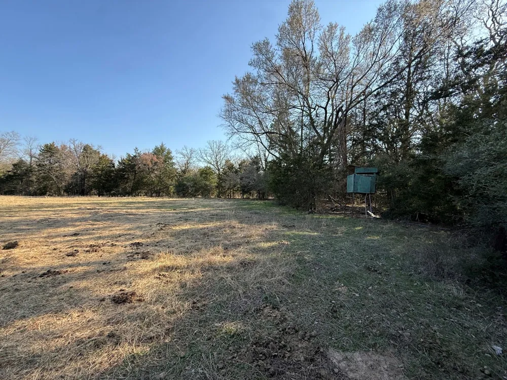 5 County Road 445 Fairfield, TX 75840