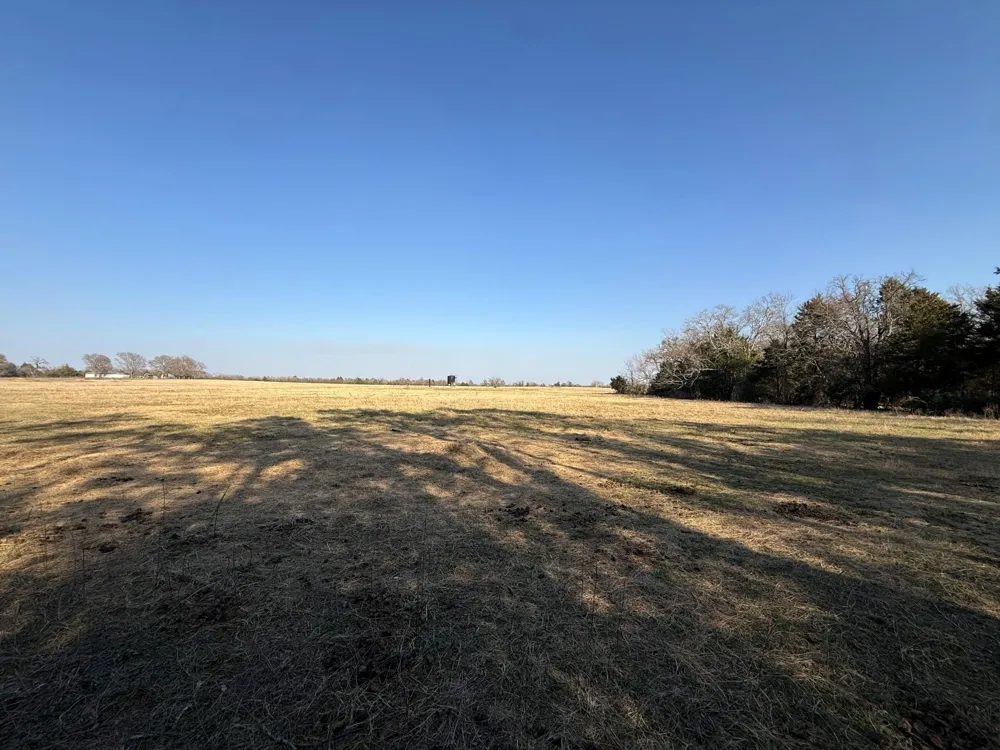 5 County Road 445 Fairfield, TX 75840