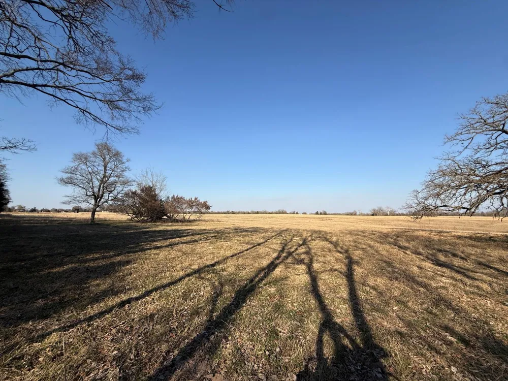5 County Road 445 Fairfield, TX 75840