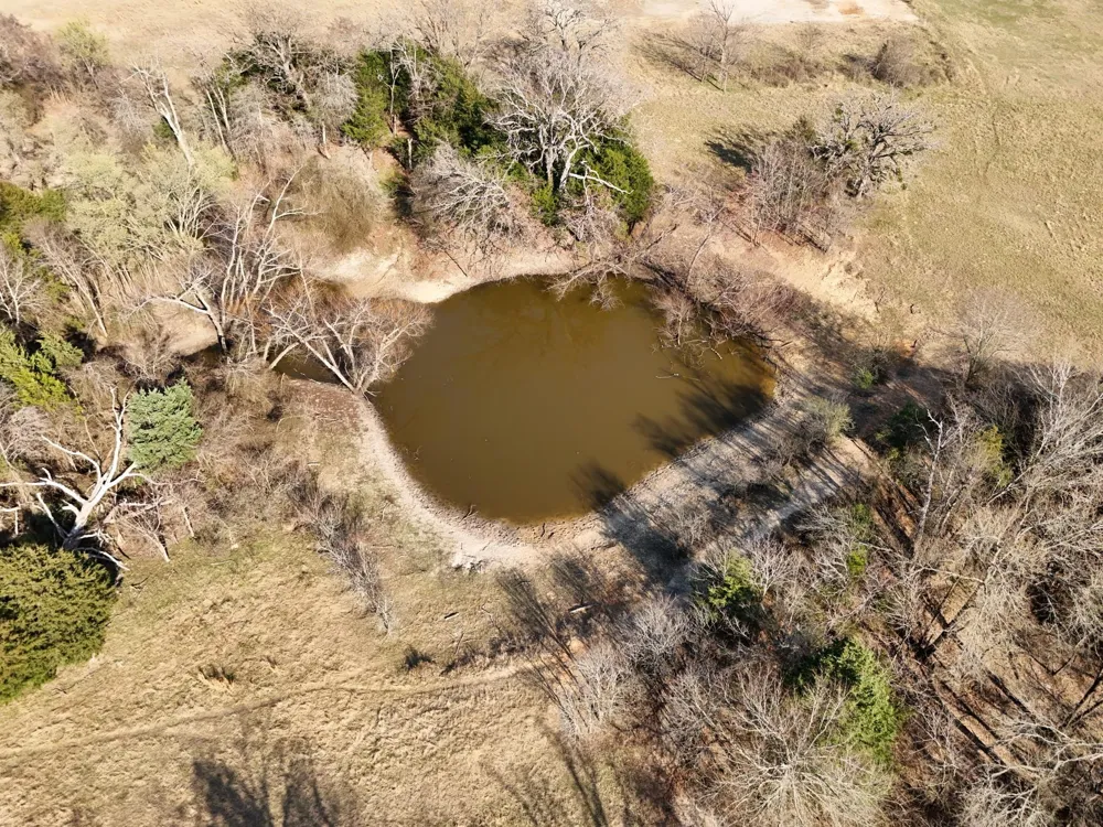 5 County Road 445 Fairfield, TX 75840