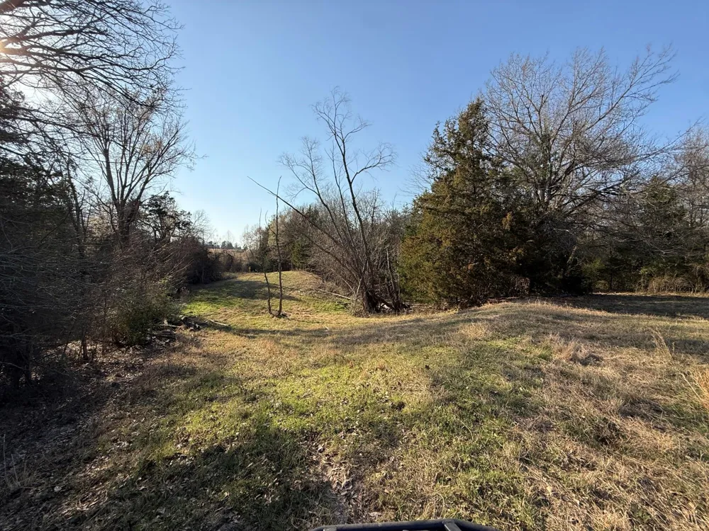 5 County Road 445 Fairfield, TX 75840