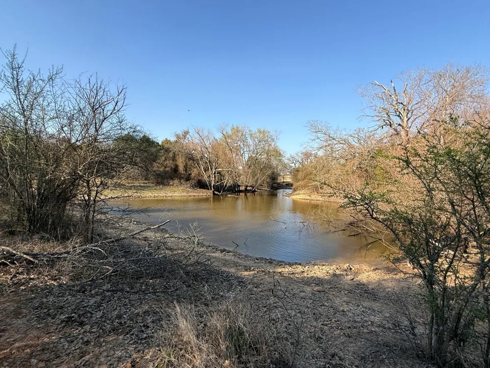 5 County Road 445 Fairfield, TX 75840