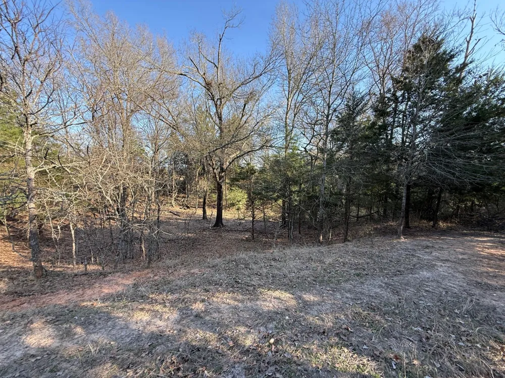 5 County Road 445 Fairfield, TX 75840