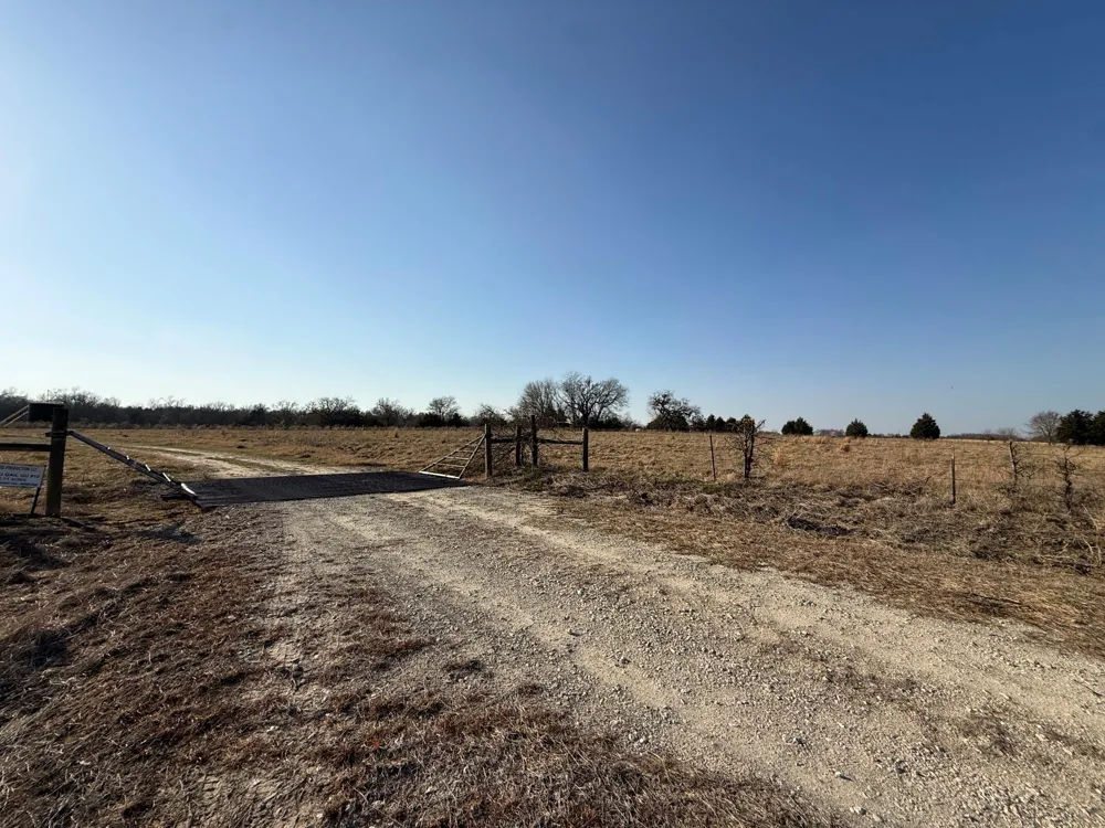 5 County Road 445 Fairfield, TX 75840