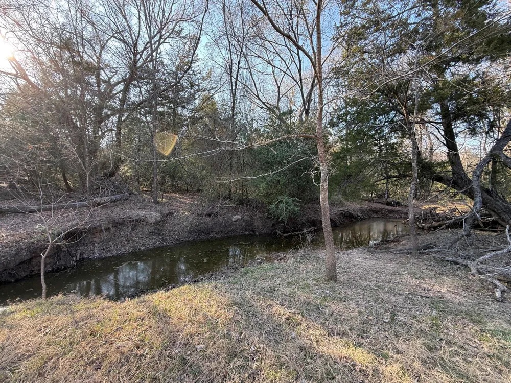 5 County Road 445 Fairfield, TX 75840