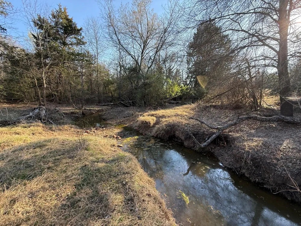 5 County Road 445 Fairfield, TX 75840