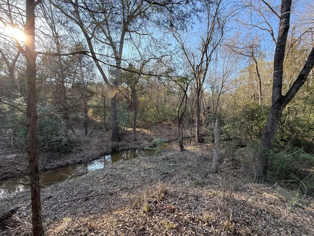 5 County Road 445 Fairfield, TX 75840