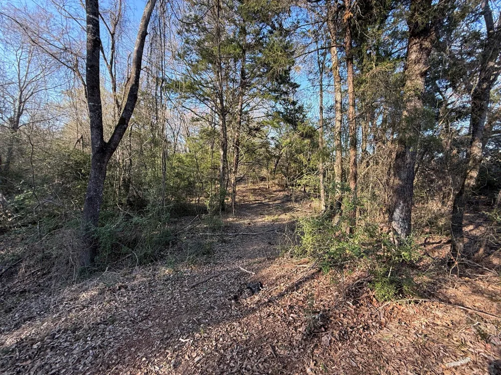 5 County Road 445 Fairfield, TX 75840