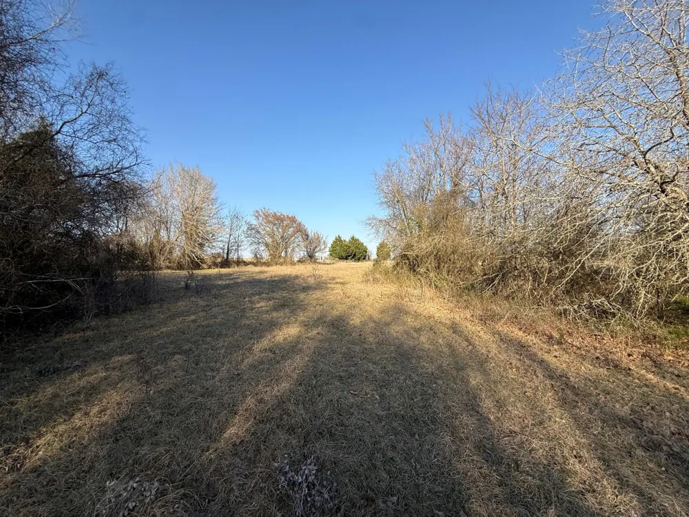 5 County Road 445 Fairfield, TX 75840