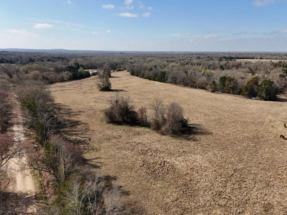 5 County Road 445 Fairfield, TX 75840