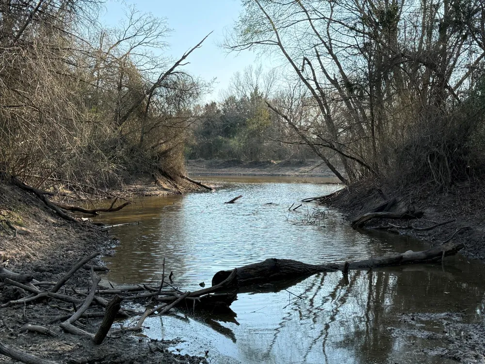 5 County Road 445 Fairfield, TX 75840