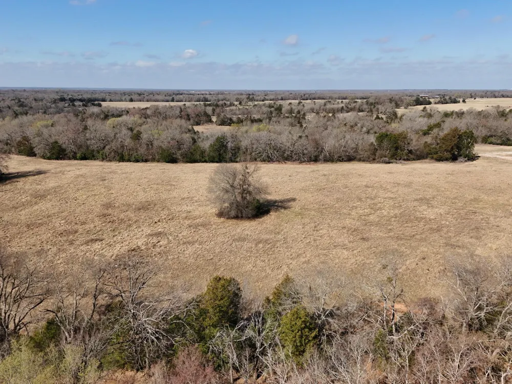 5 County Road 445 Fairfield, TX 75840