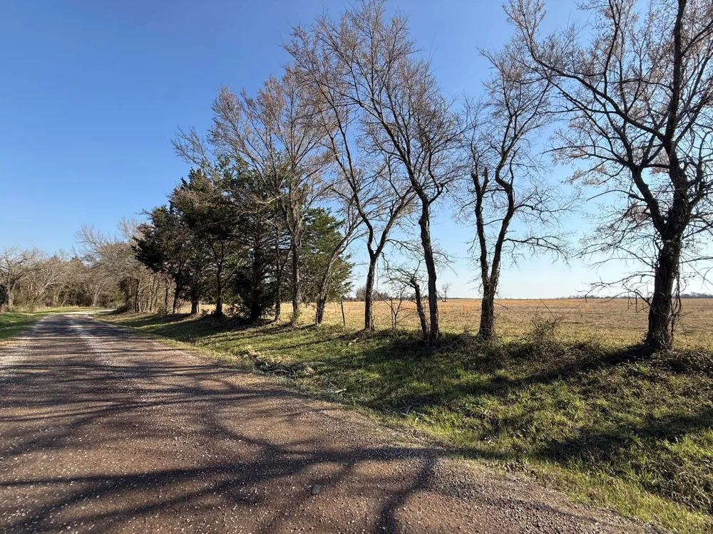 5 County Road 445 Fairfield, TX 75840