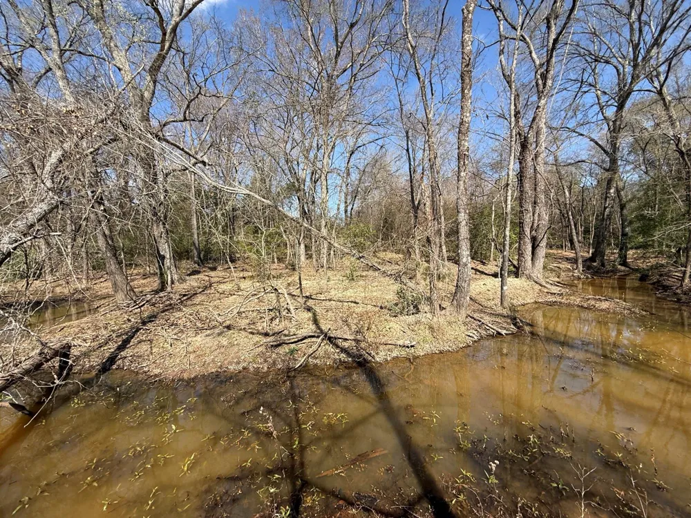 5 County Road 445 Fairfield, TX 75840