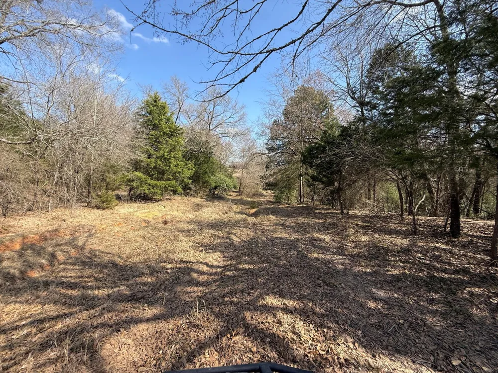 5 County Road 445 Fairfield, TX 75840