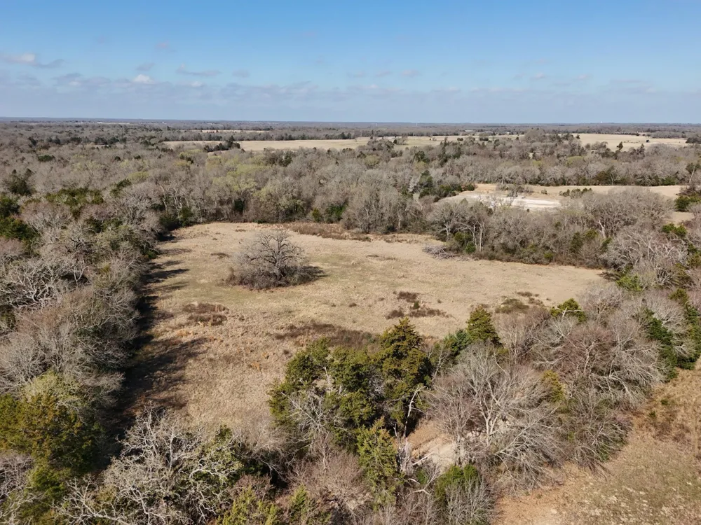 5 County Road 445 Fairfield, TX 75840