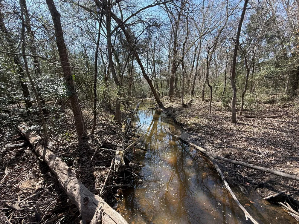 5 County Road 445 Fairfield, TX 75840