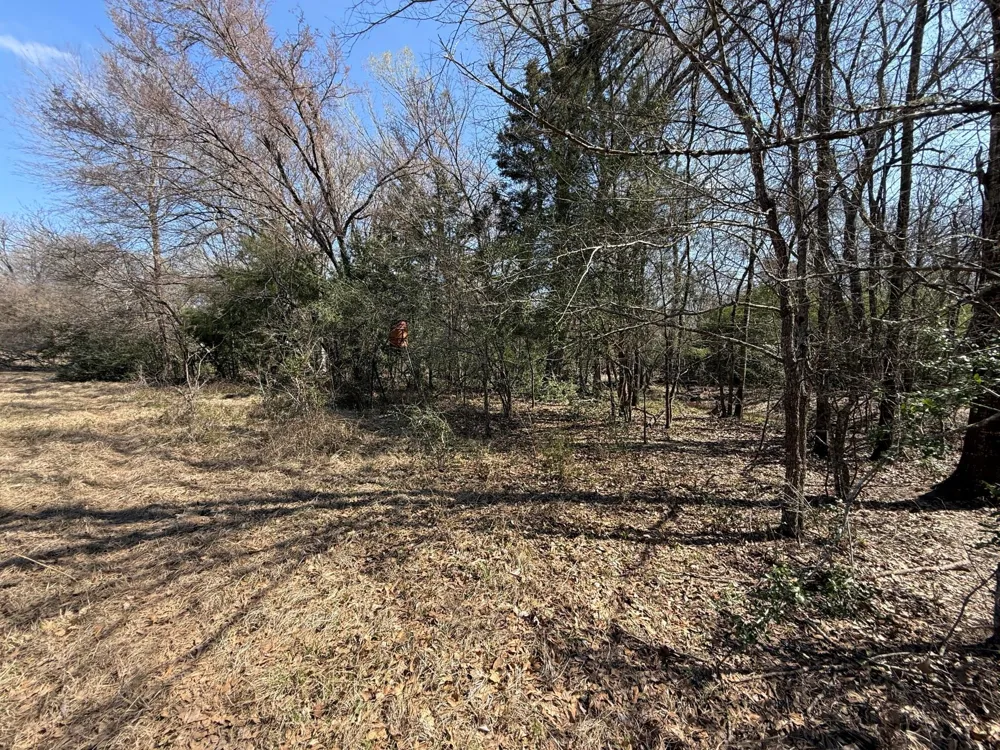 5 County Road 445 Fairfield, TX 75840