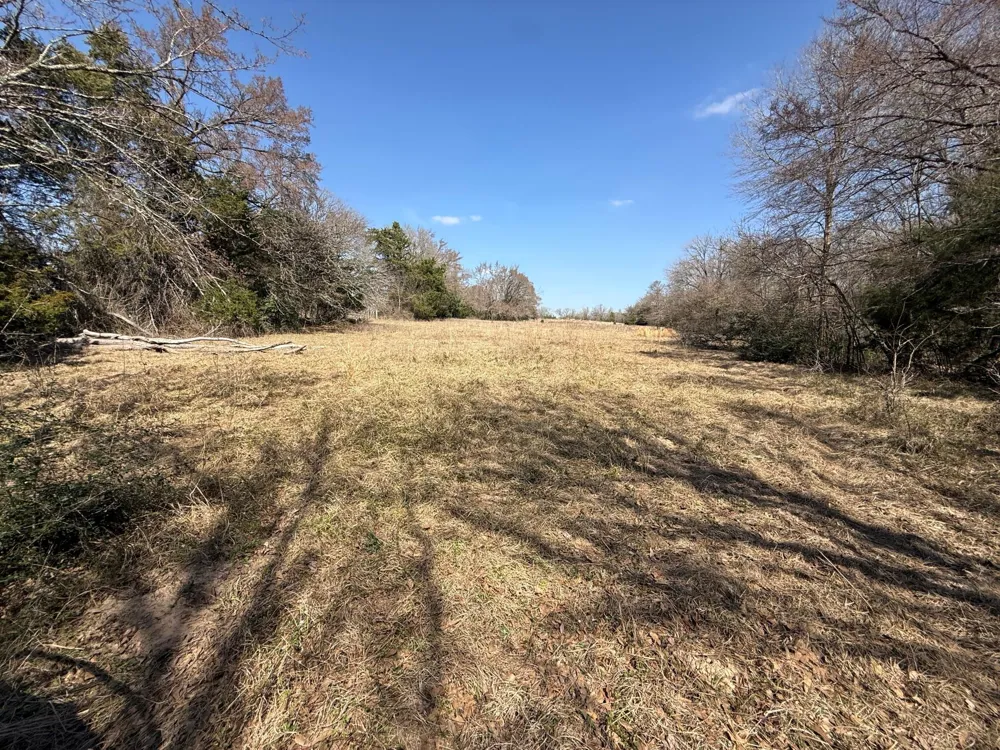 5 County Road 445 Fairfield, TX 75840