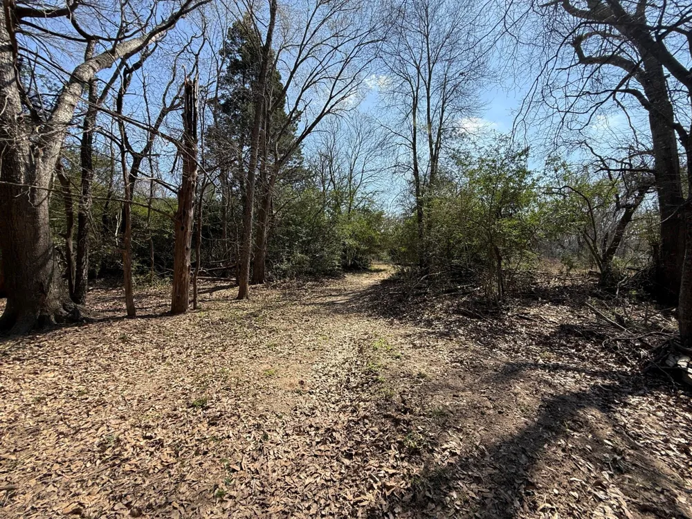 5 County Road 445 Fairfield, TX 75840