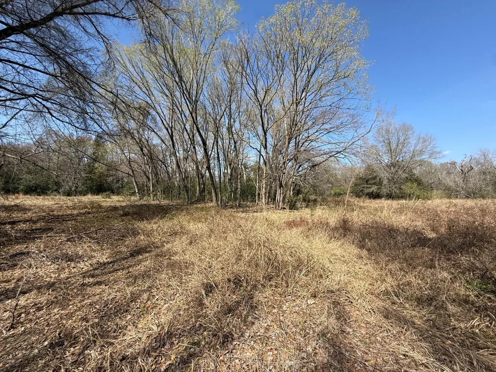 5 County Road 445 Fairfield, TX 75840