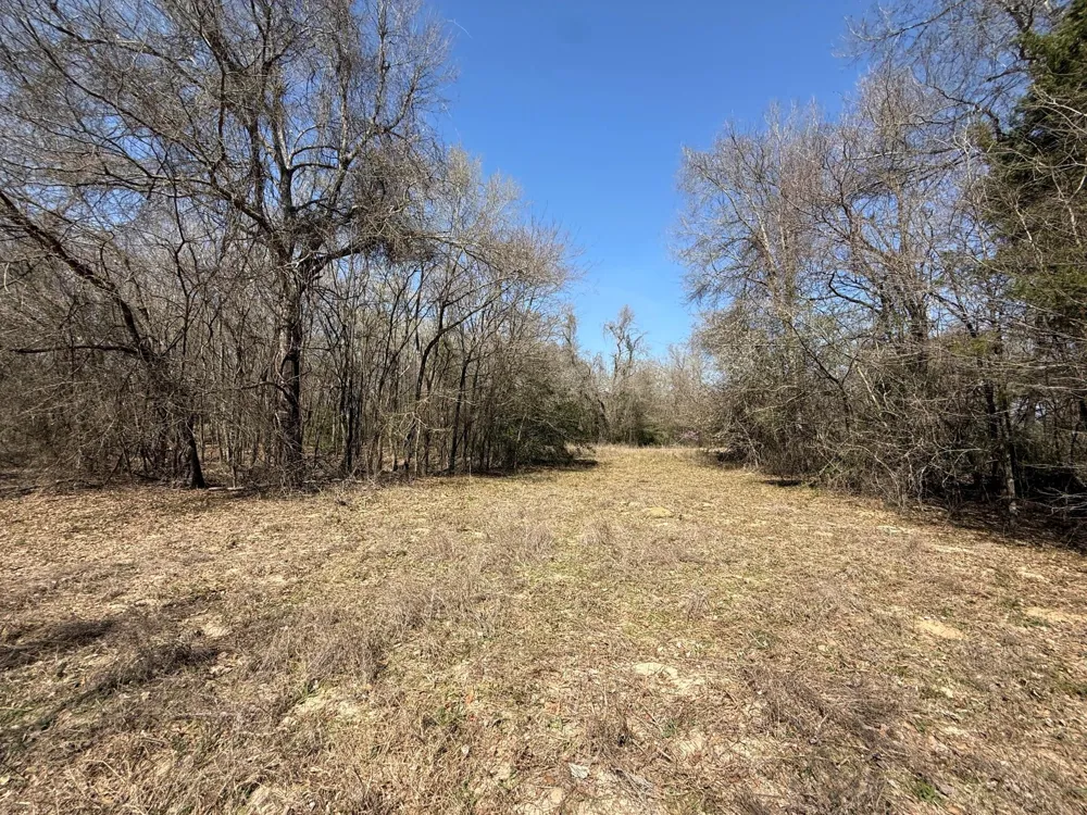 5 County Road 445 Fairfield, TX 75840