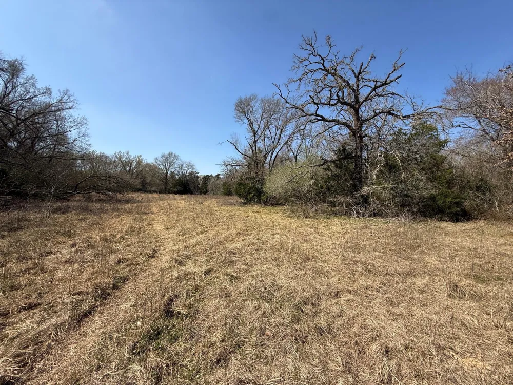 5 County Road 445 Fairfield, TX 75840