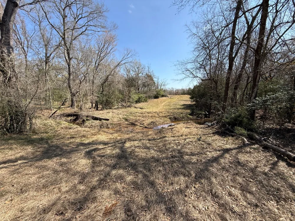 5 County Road 445 Fairfield, TX 75840