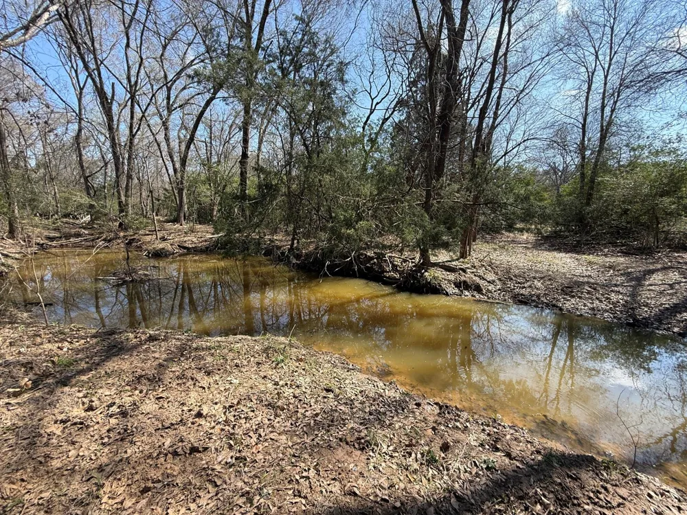 5 County Road 445 Fairfield, TX 75840