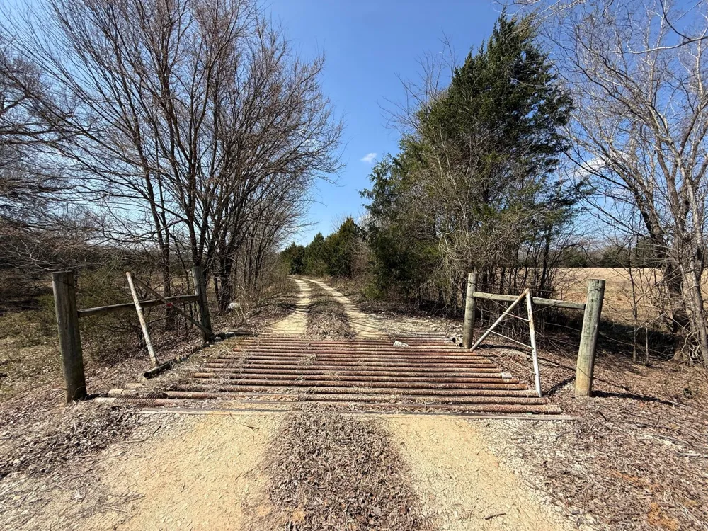 5 County Road 445 Fairfield, TX 75840