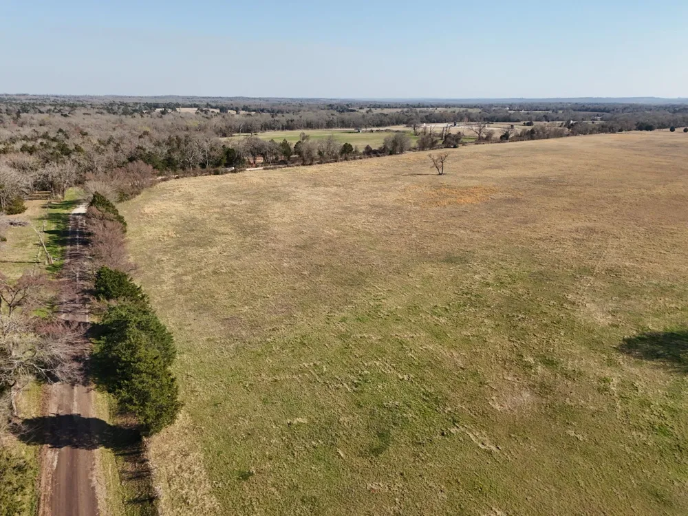5 County Road 445 Fairfield, TX 75840